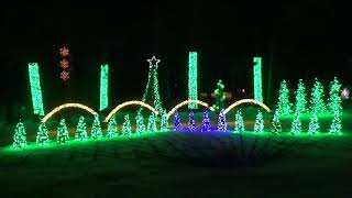 Greensleeves (What Child Is This) - Conifer Christmas Light Show (2020)