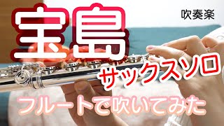 【フルート】「宝島」のサックスソロフルートで吹いてみた【吹奏楽】FLUTE