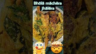 Secrets of Bhola fish fillets: recipes and tips😘#food #fishrecipe