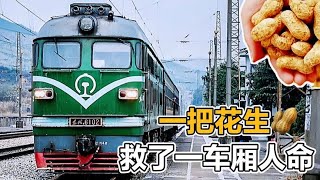 火車被炸四分五裂，2號車廂全被炸死，一把花生卻讓4車廂逃過一劫 #案件調查 #懸案密碼 #懸案破解 #懸案調查 #大案