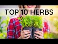 Top 10 Herbs to Grow and sell for Profit