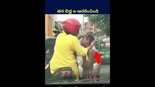 తన బిడ్డల ఆదరించింది! #shorts #ytshorts #telugu #humanity #money #mother #amezing #help #trending