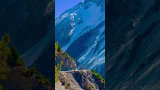 4K • Scenic Relaxation Film with Peaceful Relaxing Music and Nature Video Ultra HD