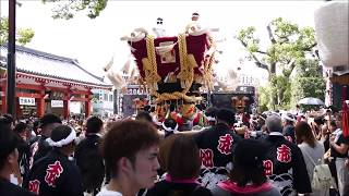 百舌鳥八幡宮秋祭り　赤畑町ふとん太鼓　　宮出　本殿前（２０１８年９月２３日）－３