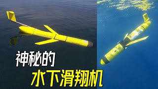 没有推进器却能潜航万里？神秘的水下滑翔机【萌萌战队】