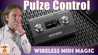 Hotone Pulze Controller: full review