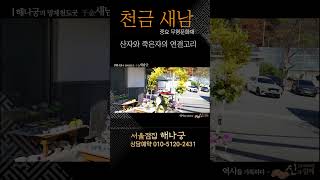 해나궁의 천금 새남굿 산자와 죽은자의 연결고리 (무속티비신과함께)