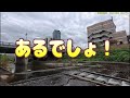 せっかく探鳥できると思ったら曇り。なんとかしてほしいけど、無理か。【天の川淀川河川敷探鳥】