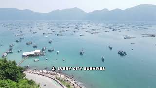 The Rise and Fall of Dock-Centric Cities Explained: A History of Urban Evolution