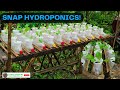 SNAP Hydroponics! Simple Set-up Using Empty Plastic Bottles by KaHalaman PH.