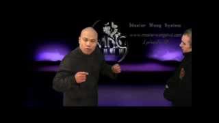 Wing Chun Training YouTube - With Master Wong EPS 10