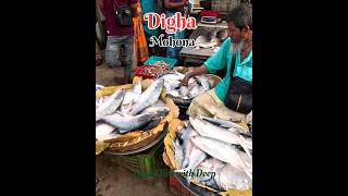 Digha Mohona #digha #mohona #fishmarket #mohonadigha #hilsa #mohonahilsa #ilish  #viralshort #yt