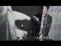 Lady Gaga - Applause (Music Video) Carmichael