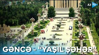 Gəncədə “Yaşıl şəhər” layihəsi icra olunur - Hansı işlər görüləcək?