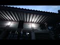 【旅log】幸せの神さんぽ 　大神神社（愛知県）oomiwa shrine aichi pref.