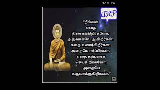 #buddha #buddhism #buddhaquotes #புத்தரின்போதனைகள்