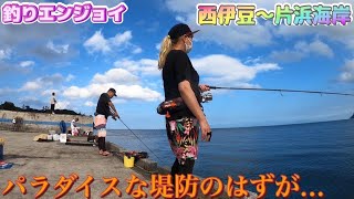 パラダイスだった堤防の現在から激アツ片浜サーフまで[片浜海岸] [堤防釣り] [ライトショアジギング]