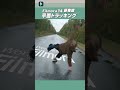 動く動画にはめ込み合成！平面トラッキング💻️