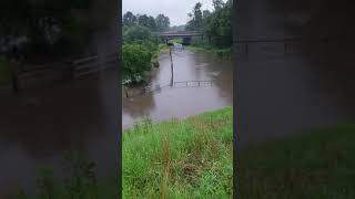 Hochwasser 14.07. 21 Castrop /Herne - Börniger Bach - Weide Rotes Vieh -