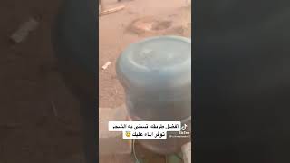 سقي الاشجار الصحراوية بطريقة سهله و لمده متباعده