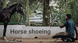 Horse shoeing by Farrier Nisar 🐎