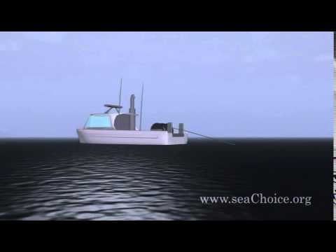 What are the methods used for fishing?