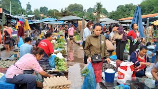 ເລາະຕະຫຼາດເຊົ້າຫຼັກ 3 ເມືອງ ທ່າແຂກ 🦀 เที่ยวลาวตลาดหลัก 3 เมือง ท่าแขก คำม่วน อาหารจากธรรมชาติมากมาย