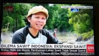 Dilema Perkebunan Besar Sawit Indonesia - Ekspansi Sawit