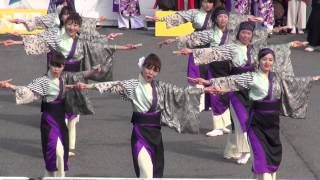 江戸の華＠2014　東京大マラソン応援演舞