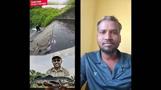 #shorts இந்த மனிதர் எப்படி மீன் பிடிக்கிறார் பாருங்கள்நண்பர்களே#fishinglife #fishing #fish #trending