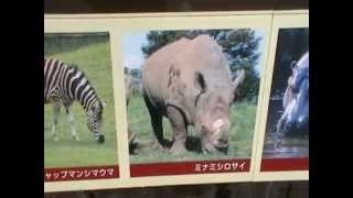 ここは日本の動物園です。　Here is a zoo in Japan （１７）