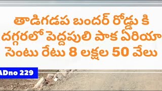 pvm properties విజయవాడ బందర్ రోడ్డు దగ్గరలో యనమలకుదురు పెద్దపులి పాక  ఖాళీ స్థలం సెంటు 8L 50 వేలు