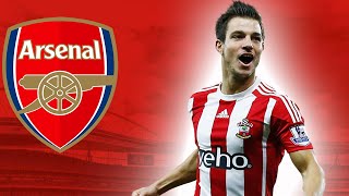 CEDRIC SOARES | Welcome To Arsenal 2020 | Goals \u0026 Skills (HD)