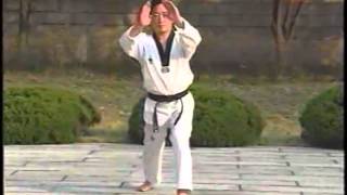 Tae Kwon Do Basic Motions