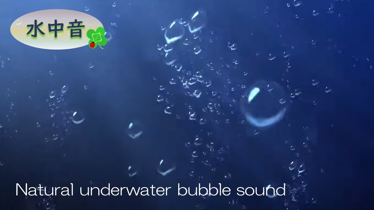 Underwater World Nature Bubble Soundsрџќђsleep Bgm Work Bgm Study Bgmрџђћ