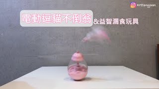 【開箱】自動逗貓不倒翁♥益智漏食玩具