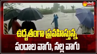 Pandhala Vagu, Nallavagu Overflow In Nellore | Nellore Rain Updates | Sakshi TV