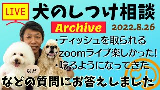 犬のしつけ相談ライブ☆ゲリラライブ 【アーカイブ 2022/08/26】