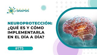 Neuroprotección: ¿Qué es y cómo implementarla en el día a día?