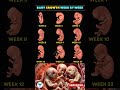 Amazing Baby Growth Week by Week | See the Miracles Inside the Womb #Pregnancy #miracle #happiness