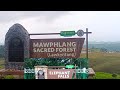 Shillong to mawphlang sacred forest & elephant falls trip vlog #shillong #travel #like #viralvideo