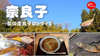 奈良子釣りセンターでとんでもない出来事が・・。