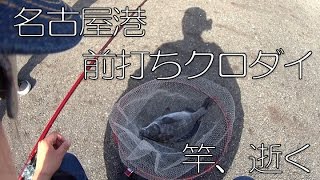 ４月名古屋港で前打ちクロダイ