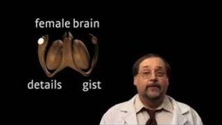 Male and Female Brains are Different