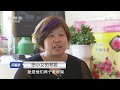 《忏悔录》男子带情人回家 2次逼妻子流产 24岁的妻子说“命运太不公平” 20160925 cctv社会与法