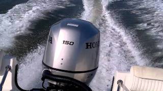 peters boston whaler bf 150 honda