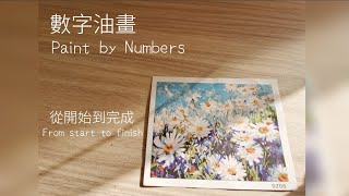 【DIY數字油畫】治癒系小雛菊 | Paint by Numbers Time Lapse | 油你開始系列 | 舒壓療癒