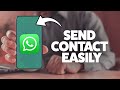 How To Share A Contact On WhatsApp 2025 (iPhone & Android)