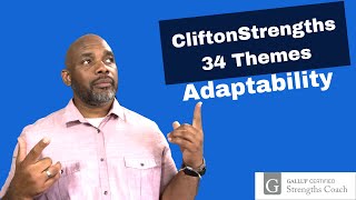 The Clifton Strengths 34 Themes - Adaptability