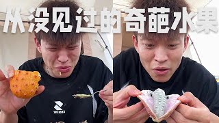 【張鳳霞】永遠要相信老祖宗嚴選，這都是什麽奇葩水果，沒見過，更沒聽過 #搞笑 #原創